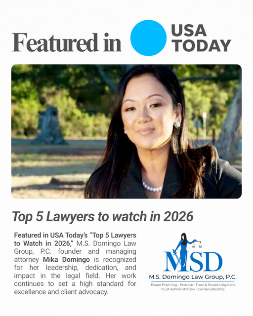 Mika Domingo featured in USA Today in 2026